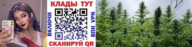 Что такое Невинномысск ГАШИШ  Бошки Шишки  COCAIN  A-PVP  Галлюциногенные грибы  Мефедрон 