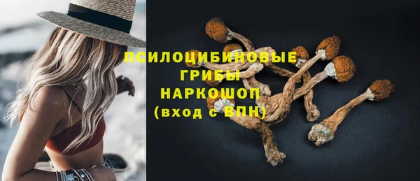 прущий лед Алексин