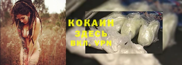 хмурый Алзамай