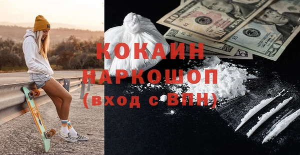 хмурый Алзамай