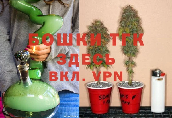 PSILOCYBIN Алексеевка