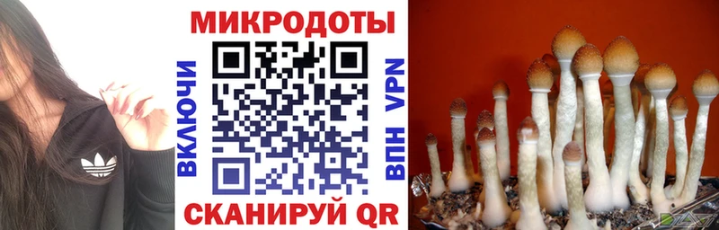 Псилоцибиновые грибы MAGIC MUSHROOMS  купить закладку  Невинномысск 
