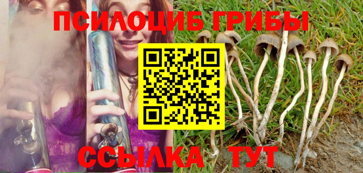 Невинномысск  Псилоцибиновые грибы Psilocybine cubensis  Вход с VPN 